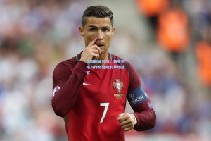 温网巅峰对决，新星闪耀与传奇延续的草地盛宴