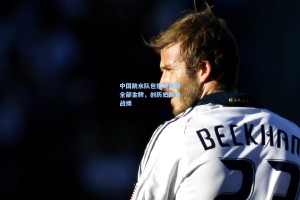 中国跳水队包揽世锦赛全部金牌，创历史最佳战绩