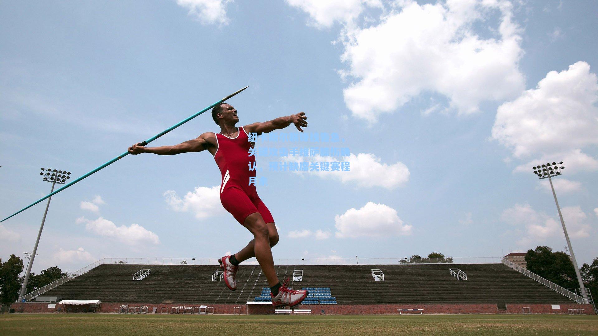 纽卡斯尔联锋线告急,关键攻击手维萨膝伤确认,预计缺席关键赛程月余